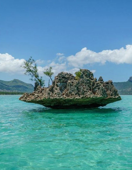 cta optional posters